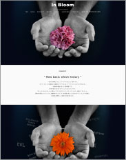 カミナリウェブ制作