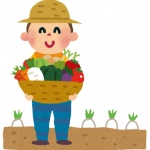 SOYOKAZE MAGAZINE vol.2