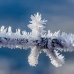 今年の目標・・・