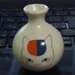 あたたかくなってきましたし、掃除でもします