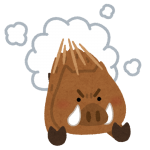 2019年、真っ直ぐに