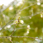 旅にでかけたくなる一冊