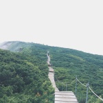 大山の上ら辺と下ら辺。