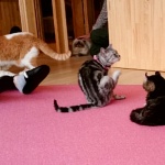 乗っていただきました！