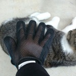 手袋型素晴らしい……!