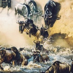 トーキョー・ニュー・ミクスチャー・スタイル