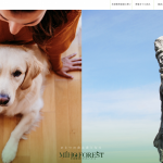 【MIHO FORESTホームページリニューアル】