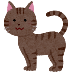 新しい子がやってきた