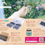 〈制作実績〉小林観光ブルーベリー園様DMハガキ