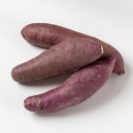 そよかぜマガジンvol.10 制作レポート