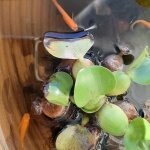 『エール』ロス