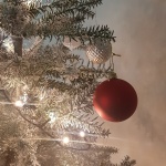 初詣どうしますか？