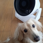 念願のサーキュレーター