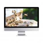 〈制作実績〉株式会社ハニークロス様ECサイト