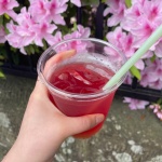 ツツジの花言葉