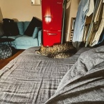 寝姿をパシャリ