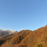 ここがわたしの