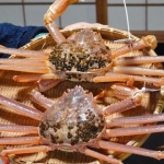 2022/11/6 松葉ガニ漁が解禁しました。