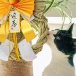 ご挨拶とお好み焼き